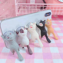 Laden Sie das Bild in den Galerie-Viewer, Kitty Phone Holder-Furbaby Friends Gifts