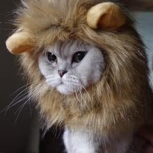 Carregar imagem no visualizador da galeria, Kitty the Lion! Pet Outfit-Furbaby Friends Gifts