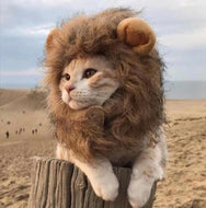 Kitty the Lion! Pet Outfit-Furbaby Friends Gifts