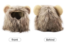 Cargar imagen en el visor de la galería, Kitty the Lion! Pet Outfit-Furbaby Friends Gifts