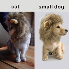 Laden Sie das Bild in den Galerie-Viewer, Kitty the Lion! Pet Outfit-Furbaby Friends Gifts
