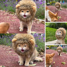 Cargar imagen en el visor de la galería, Kitty the Lion! Pet Outfit-Furbaby Friends Gifts