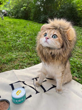 Carica l&#39;immagine nel visualizzatore di Gallery, Kitty the Lion! Pet Outfit-Furbaby Friends Gifts