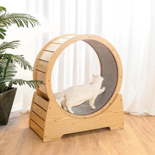 Load image into Gallery viewer, Large Cat Climbing Frame/ Activity Centre-Furbaby Friends Gifts
