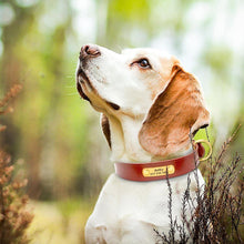 Laden Sie das Bild in den Galerie-Viewer, Leather Personalized Dog Collar-Furbaby Friends Gifts