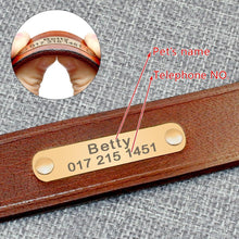 Cargar imagen en el visor de la galería, Leather Personalized Dog Collar-Furbaby Friends Gifts