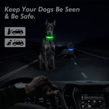 Cargar imagen en el visor de la galería, LED Adjustable Glowing Dog Collar-Furbaby Friends Gifts