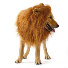 Carregar imagem no visualizador da galeria, Leo the Lion!-Furbaby Friends Gifts