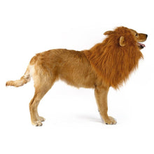 Cargar imagen en el visor de la galería, Leo the Lion!-Furbaby Friends Gifts