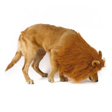 Laden Sie das Bild in den Galerie-Viewer, Leo the Lion!-Furbaby Friends Gifts