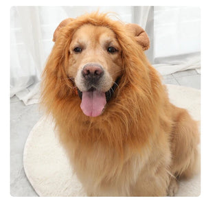 Leo the Lion!-Furbaby Friends Gifts