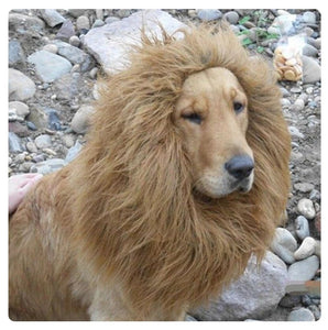 Leo the Lion!-Furbaby Friends Gifts