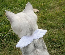 Load image into Gallery viewer, Little Angel Wings Pet Collar-Furbaby Friends Gifts