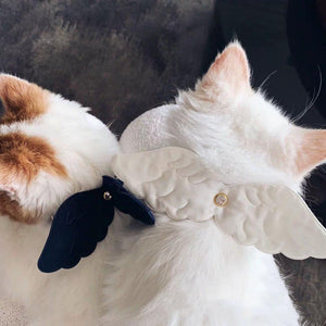 Little Angel Wings Pet Collar-Furbaby Friends Gifts