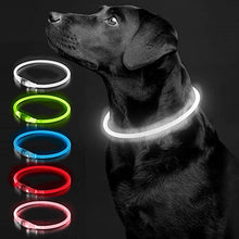 Carica l&#39;immagine nel visualizzatore di Gallery, Luminous Rechargeable Clip-On Dog Collar Accessory-Furbaby Friends Gifts