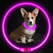Laden Sie das Bild in den Galerie-Viewer, Luminous Rechargeable Clip-On Dog Collar Accessory-Furbaby Friends Gifts