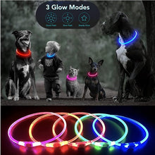 Load image into Gallery viewer, Luminous Rechargeable Clip-On Dog Collar Accessory-Furbaby Friends Gifts