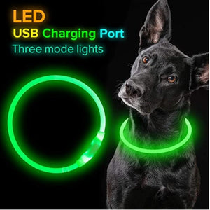 Luminous Rechargeable Clip-On Dog Collar Accessory-Furbaby Friends Gifts