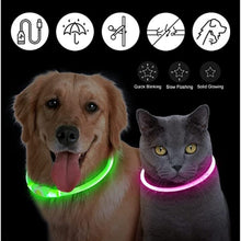 Afbeelding in Gallery-weergave laden, Luminous Rechargeable Clip-On Dog Collar Accessory-Furbaby Friends Gifts