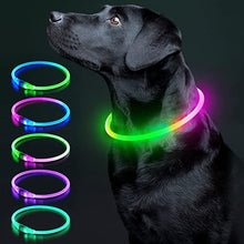 Carregar imagem no visualizador da galeria, Luminous Rechargeable Clip-On Dog Collar Accessory-Furbaby Friends Gifts