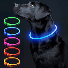 Charger l&#39;image dans la galerie, Luminous Rechargeable Clip-On Dog Collar Accessory-Furbaby Friends Gifts
