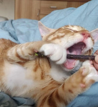 Afbeelding in Gallery-weergave laden, Natural Kitty Dental Sticks-Furbaby Friends Gifts