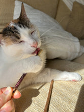 Laden Sie das Bild in den Galerie-Viewer, Natural Kitty Dental Sticks-Furbaby Friends Gifts