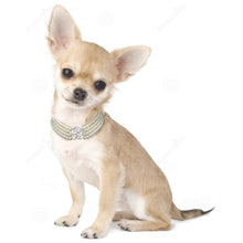 Load image into Gallery viewer, Pearl Necklace Collar-Furbaby Friends Gifts