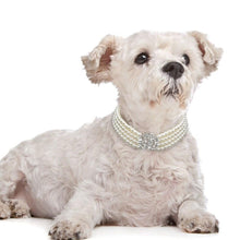 Carregar imagem no visualizador da galeria, Pearl Necklace Collar-Furbaby Friends Gifts