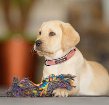 Carregar imagem no visualizador da galeria, Personalized Leather Dog Collar - Free Engraving-Furbaby Friends Gifts