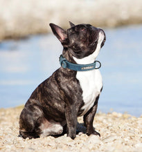 Cargar imagen en el visor de la galería, Personalized Leather Dog Collar - Free Engraving-Furbaby Friends Gifts