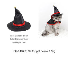 Carica l&#39;immagine nel visualizzatore di Gallery, Pet Halloween Hats-Furbaby Friends Gifts