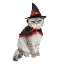 Laden Sie das Bild in den Galerie-Viewer, Pet Halloween Hats-Furbaby Friends Gifts
