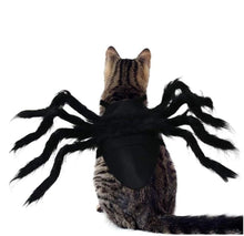 Load image into Gallery viewer, Pet Halloween Spider Outfit!-Furbaby Friends Gifts