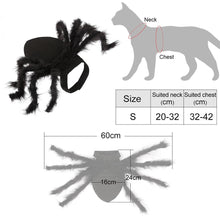 Charger l&#39;image dans la galerie, Pet Halloween Spider Outfit!-Furbaby Friends Gifts