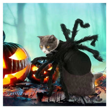Afbeelding in Gallery-weergave laden, Pet Halloween Spider Outfit!-Furbaby Friends Gifts