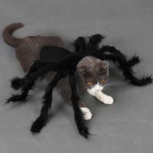 Carregar imagem no visualizador da galeria, Pet Halloween Spider Outfit!-Furbaby Friends Gifts
