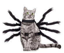 Cargar imagen en el visor de la galería, Pet Halloween Spider Outfit!-Furbaby Friends Gifts