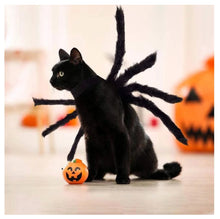 Carica l&#39;immagine nel visualizzatore di Gallery, Pet Halloween Spider Outfit!-Furbaby Friends Gifts