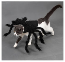 Cargar imagen en el visor de la galería, Pet Halloween Spider Outfit!-Furbaby Friends Gifts