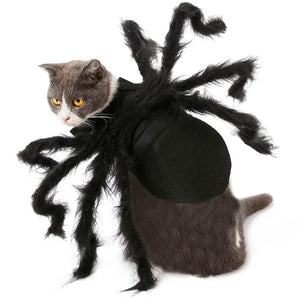 Pet Halloween Spider Outfit!-Furbaby Friends Gifts