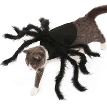 Load image into Gallery viewer, Pet Halloween Spider Outfit!-Furbaby Friends Gifts