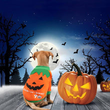 Cargar imagen en el visor de la galería, Pet Halloween Sweater-Furbaby Friends Gifts