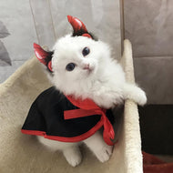 Pet Vampire Costume!-Furbaby Friends Gifts