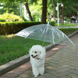 Pooch Umbrella-Furbaby Friends Gifts