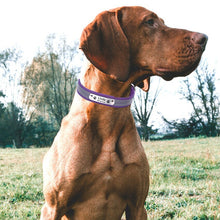 Charger l&#39;image dans la galerie, Reflective Personalized Collar-Furbaby Friends Gifts