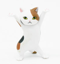 Carica l&#39;immagine nel visualizzatore di Gallery, Sassy Dancing Kitty Accessories Holders-Furbaby Friends Gifts