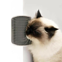 Carregar imagem no visualizador da galeria, Self Grooming Catnip Corner Brush-Furbaby Friends Gifts