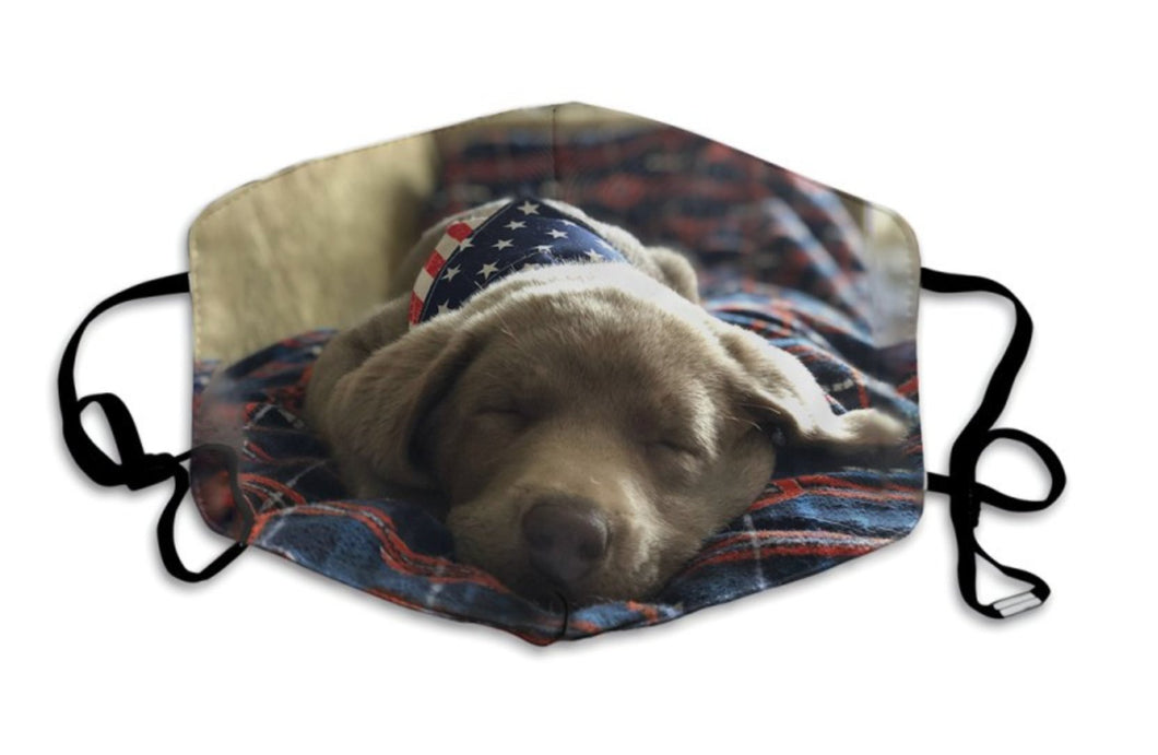 Silver Labrador Puppy-Furbaby Friends Gifts