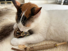 Load image into Gallery viewer, Silvervine Bark Dental Chew Toy For Cats-Furbaby Friends Gifts